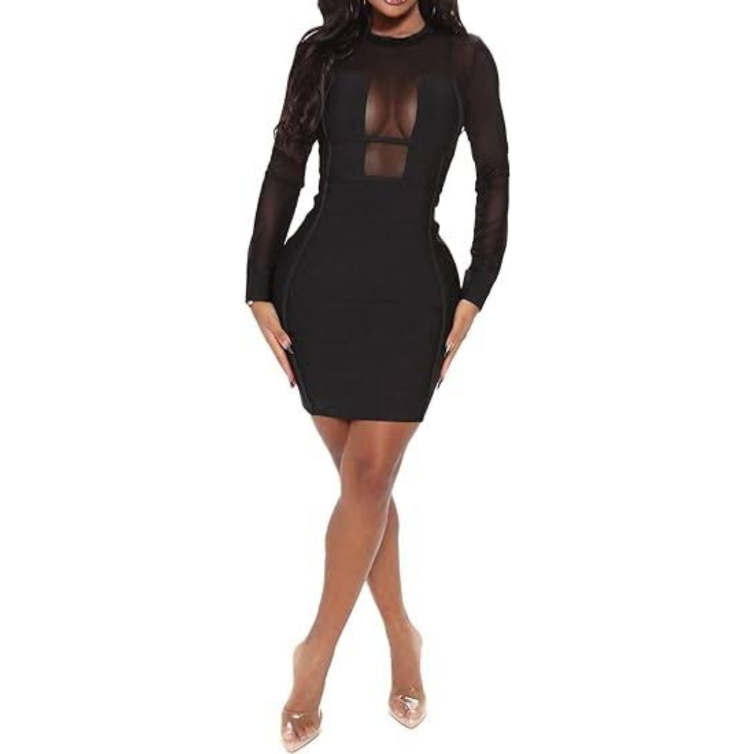 Mini Bodycon Sheer Clubwear Dress - Black