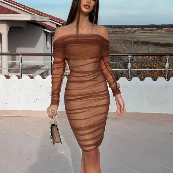 Enchanting Mesh Bodycon Midi Dress - Brown