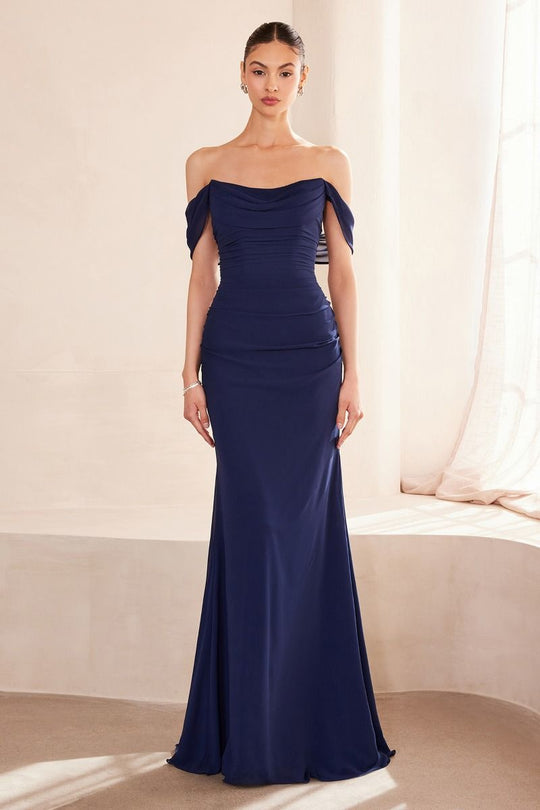 Off The Shoulder Round Neck Chiffon Fitted Dress-5